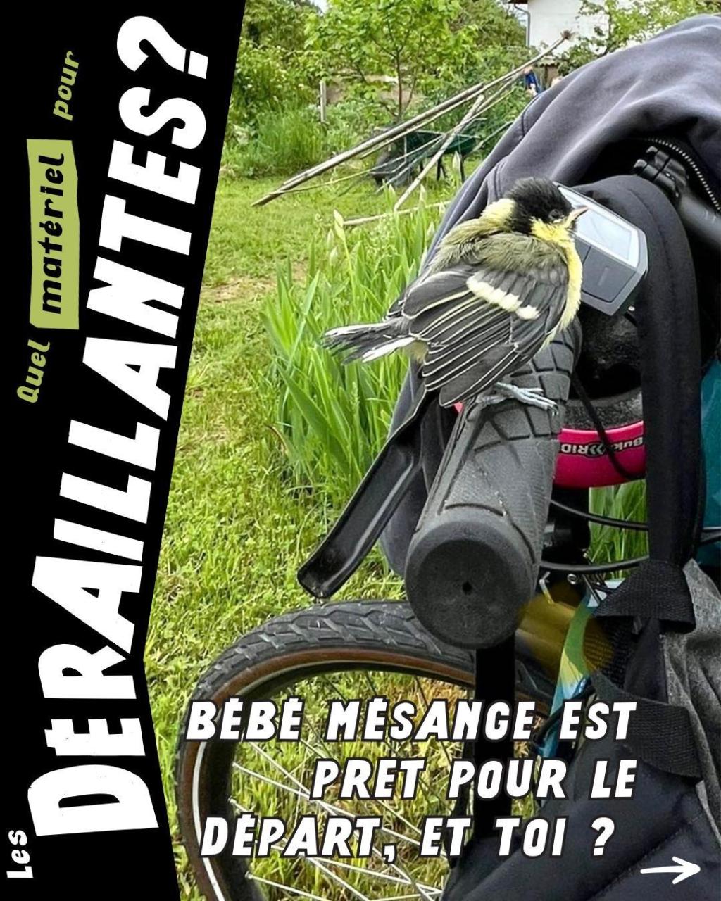 Quel matériel pour les dérraillantes&nbsp;?