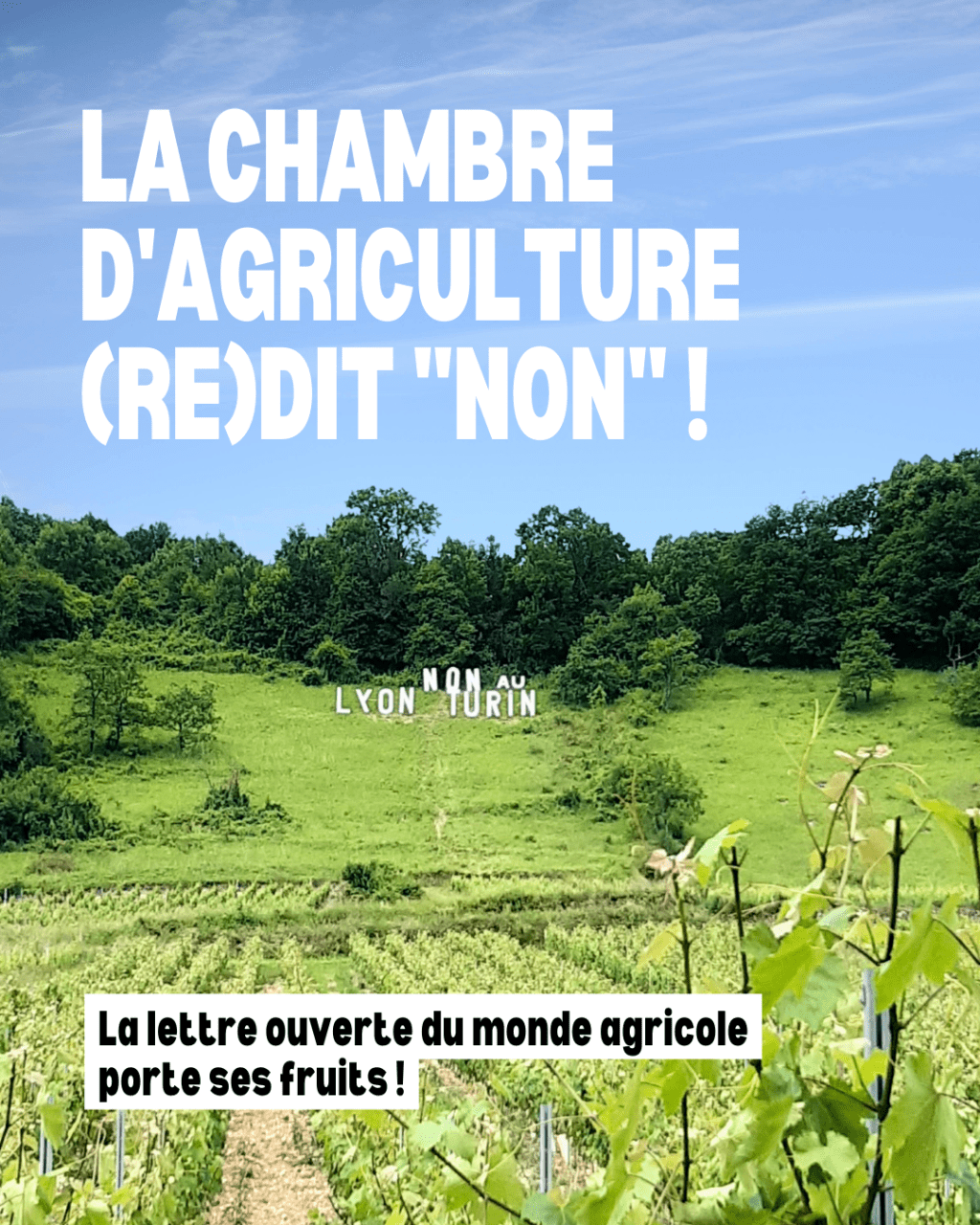 La chambre d&rsquo;agriculture AURA prend&nbsp;position